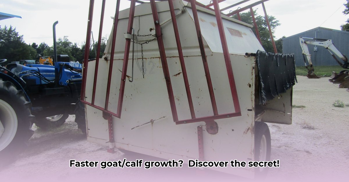 creep-feed-tractor-supply